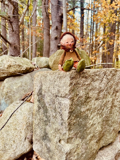 Fionella in the autumn forest